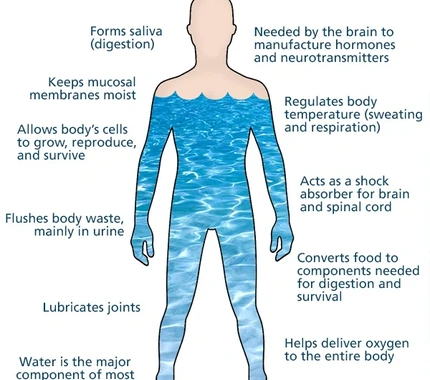 REASONS WHY WATER IS IMPORTANT TO HUMAN BODY