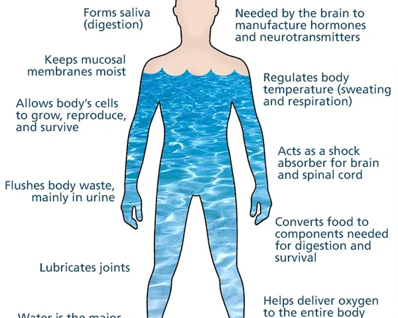 REASONS WHY WATER IS IMPORTANT TO HUMAN BODY