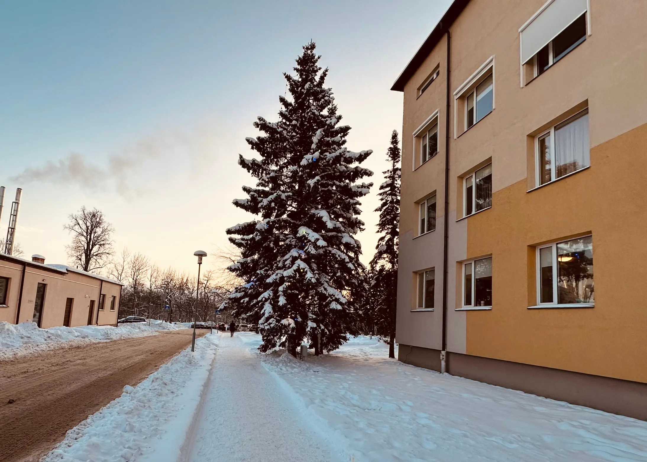 Slide Image